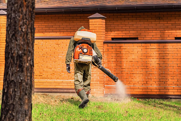 Trusted Termite Control service in Rahway, NJ - Nex Pest Control